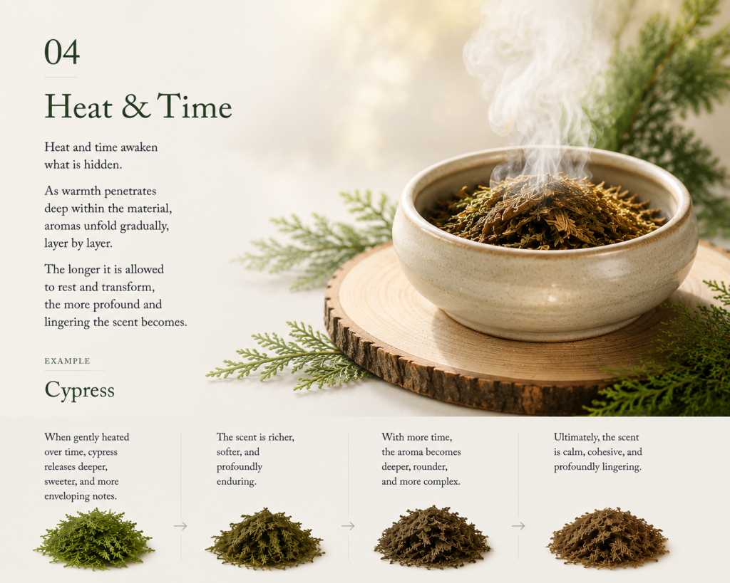 Cypress material smoldering gently in a ceramic warmer with rising scent, illustrating how heat and time release the hidden aroma of a plant.