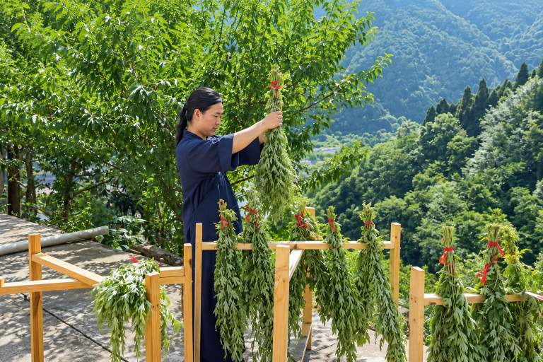 A woman in a dark blue robe hangs bundles of fresh mugwort on a wooden rack, mountains behind