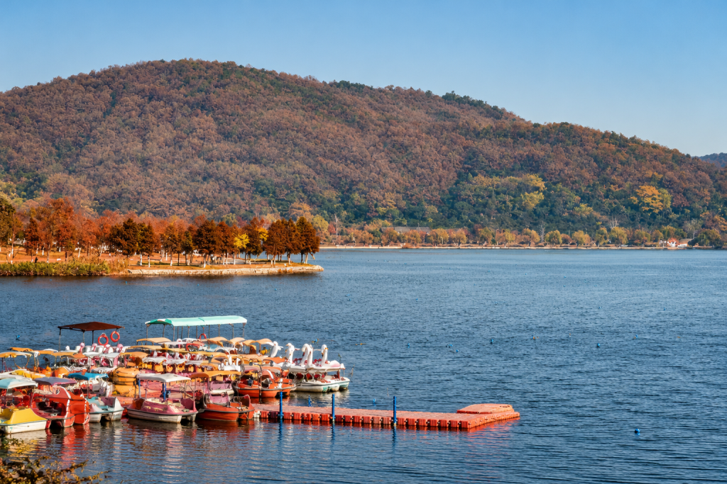 Pedal boats moored on a lake below a hillside in autumn colors