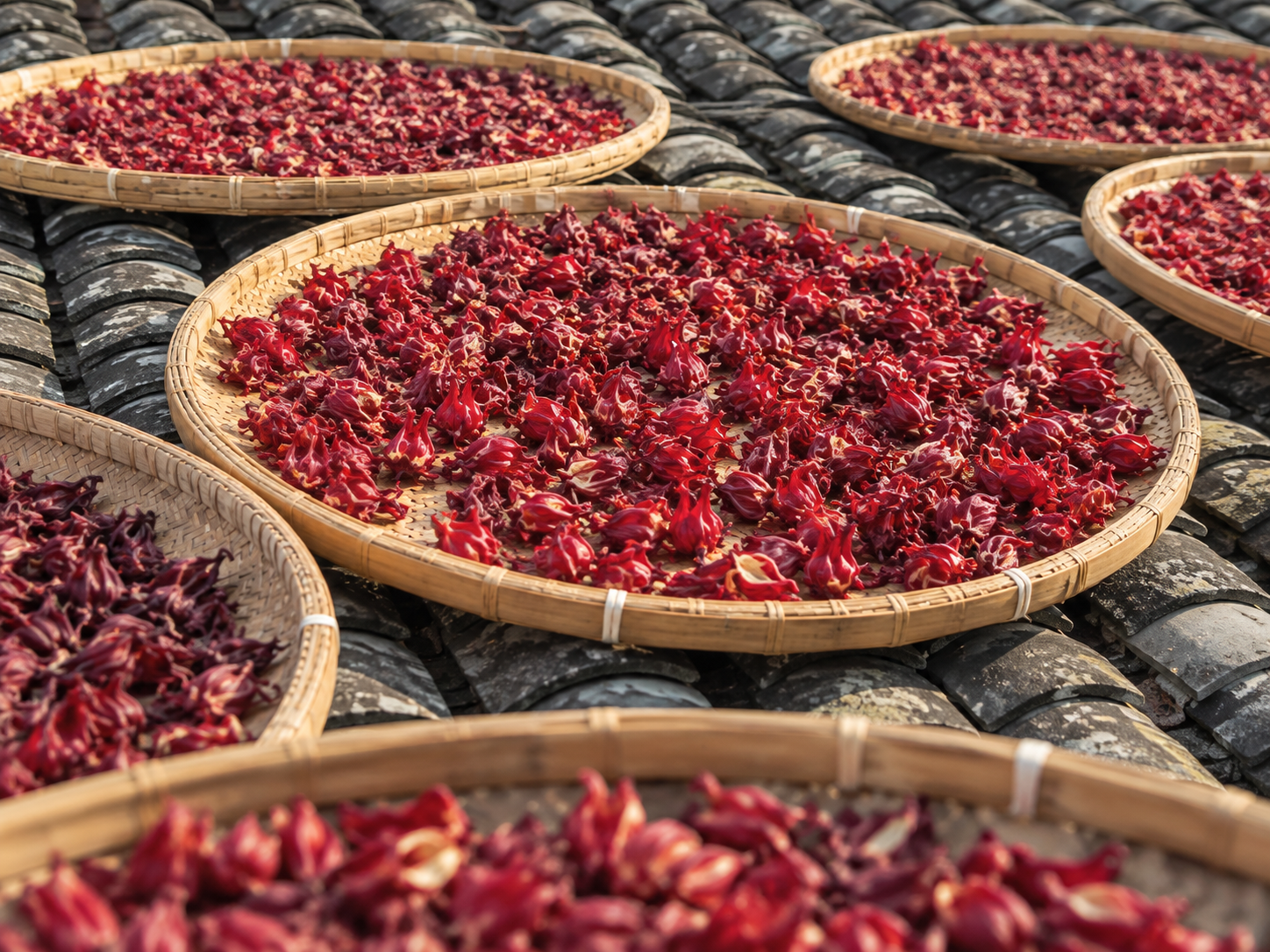 Round bamboo trays of dried roselle and rose petals drying on a gray tiled roof